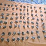 #Saraguro | Aprehendido por presunto tráfico de drogas