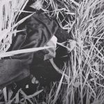 Hallan cuerpo con heridas de arma de fuego en la parroquia Nuevo Quito, cantón Paquisha