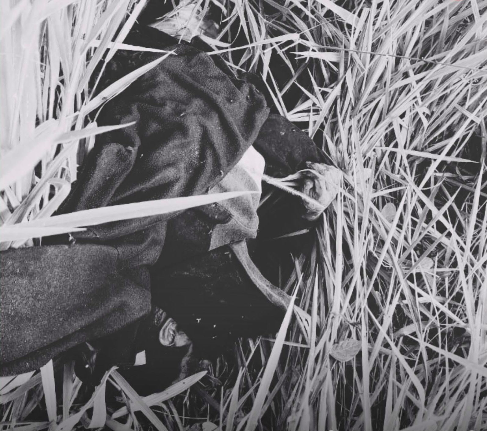 Hallan cuerpo con heridas de arma de fuego en la parroquia Nuevo Quito, cantón Paquisha