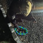 POLICÍA INCAUTA 193 GRAMOS DE MARIHUANA ABANDONADOS EN EL GUAYABALE