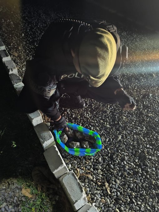 POLICÍA INCAUTA 193 GRAMOS DE MARIHUANA ABANDONADOS EN EL GUAYABALE