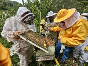 Productores apícolas de Palanda recibieron capacitación técnica.
