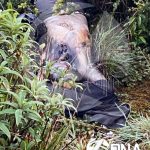 🚨 Hallazgo de cuerpo sin vida en la vía Loja–Zamora