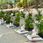 Drenaje de fincas fortalecen la producción de Paquisha