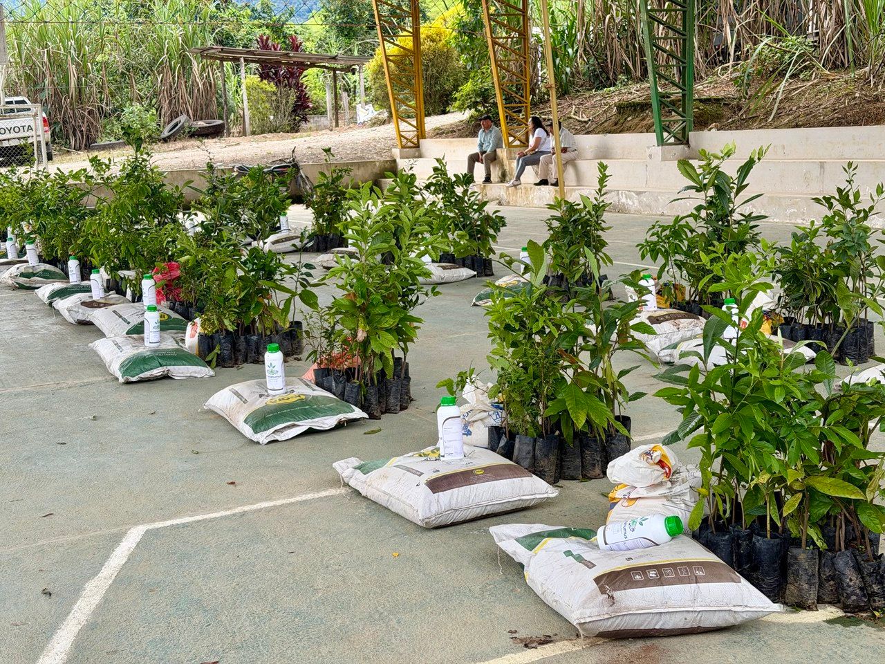 Drenaje de fincas fortalecen la producción de Paquisha